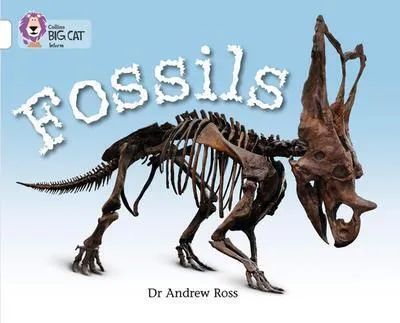 Obrázek produktu pro Fossils