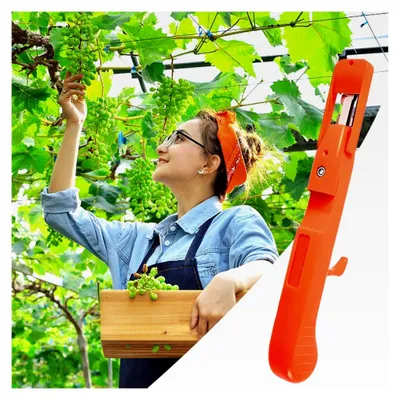 Produktbild von Gartenschere zum Beschneiden von Pflanzen - Obstpflückerschere | Ergonomisches Werkzeug für Ernte und Schnitt im Garten