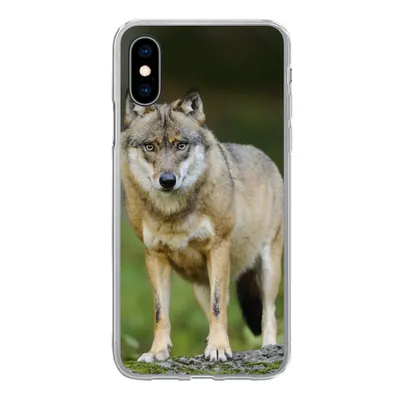 Produktbild von MuchoWow® Handyhülle Schutzhülle Hülle für iPhone X Wolf - Asien - Pflanzen Silikon Softcase Handy Hülle - Handyhülle