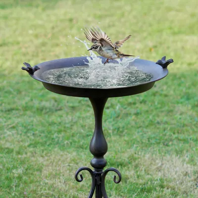Produktbild von MNRYLKB 45,7 x 71,1 cm (B x H), große Metall-Vogeltränke mit Ständer, Vogeltränk