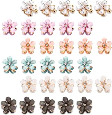 Set von 30 Blumen Haarklammern, Hauptbild