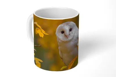 Produktbild von KitchenYeah® Tasse Kaffeetasse Kaffeebecher 350 ml Vogel - Eule - Herbst Teetasse - Fototasse - Becher - Keramikbecher - Teebecher - Kaffeetasse - Bürotasse