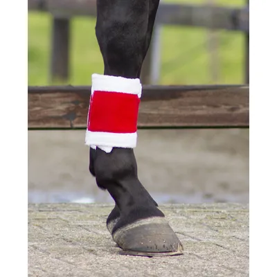 Produktbild von QHP Weihnachtsbandagen 4er Set