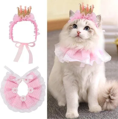 Immagine prodotto di Costume da principessa rosa con accessori a forma di