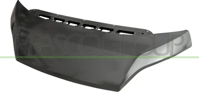 Produktbild von PRASCO FT9323100 Motorhaube für FIAT Ducato Kastenwagen (250, 290) Ducato Pritsche / Fahrgestell (250, 290) Ducato Bus (250, 290)