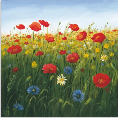 Produktbild von ARTland Wandbild Alu für Innen & Outdoor Mohnblumen Landschaft I Größe: 40x40 cm