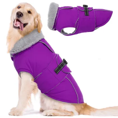 Image de Manteau pour chien, veste d'hiver, réfléchissant, imperméable, en polaire, couleur violet, taille 3XL