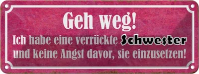 Produktbild von vianmo Blechschild 10x27 cm ich habe eine verrückte Schwester Spruch Zitat