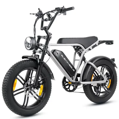 Produktbild von E-Bike Cityrad E6-2.0 Elektrofahrrad 20” x 4 Damen u. Herren Pedelec 720Wh Max.108KM Kettenschaltung, Heckmotor, 720 Wh, Pedelec, Elektrofahrrad