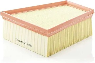 Immagine prodotto di Filtro Aria Mann-Filter C 2295/3