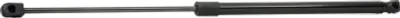 Produktbild von RIDEX 219G0318 Gasfeder Heckklappendämpfer für RENAULT Scénic I (JA0/1, FA0)
