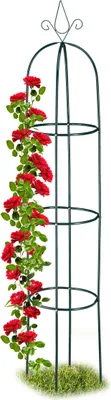 Produktbild von Relaxdays Rankhilfe, rund, freistehend, Rosen, Tomaten, Wein, Garten, wetterfest, XL Rankobelisk, H: 200 cm, dunkelgrün