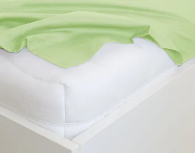 Produktbild von Traumschlaf Edel-Linon Bettlaken Haustuch 220x260 cm lind