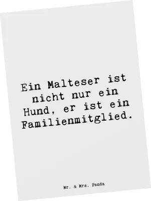 Produktbild von Mr. & Mrs. Panda Postkarte Spruch Malteser Liebe - Weiß - Geschenk, hypoallergene Hunde, Hunderasse, Ansichtskarten, Hund, Familie, Hunderassen Pflege, Ansichtskarte