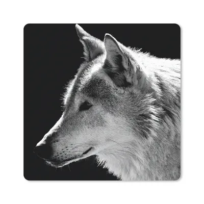 Produktbild von MuchoWow® Mauspad Mousepad Wildlife - Wolf - Schwarz - Weiß 20x20 cm - Mousepads - Maus Mat - Pad - Mausunterlage - Desk Mat - Bureauartikeln