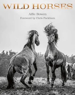 Obrázek produktu pro Wild Horses