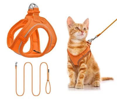 Produktbild von Hundegeschirr mit Leine Set XS Orange Reflektierend Verstellbar
