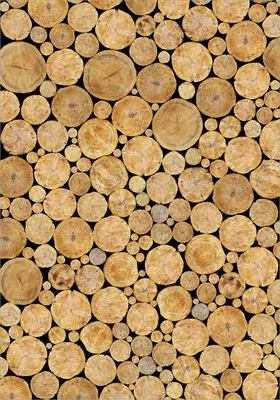 Produktbild von Wallario Poster - Holzstapel rund, Kunstdruck Größe: 70 x 100 cm
