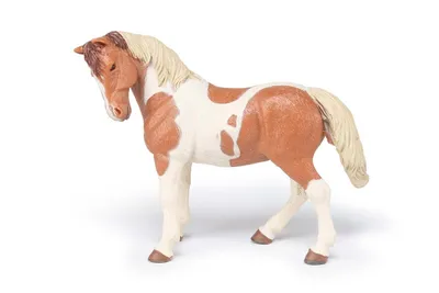 Obrázok produktu pre Papo 51094, 3 rok / roky, Horses, foals and ponies, Viacfarebný, PVC