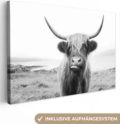 Produktbild von MuchoWow® - Leinwandbilder - Tiere - Schottischer Highlander - Kuh - Schwarz - Weiß, Wandbild, Wanddeko Bilder Wohnzimmer, 30x20 cm