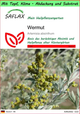 Produktbild von SAFLAX Garden to go - Wermut - Artemisia absinthum - 500 Samen - Mit Topf, Klima - Deckel und Anzuchtsubstrat