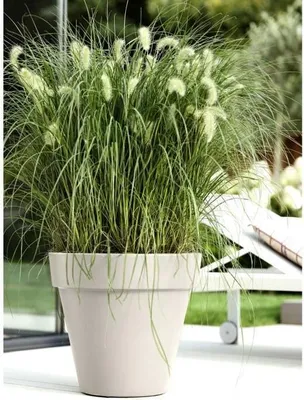 Produktbild von ELHO Pure Rundblumentopf 60 - Weiß - Ø 59 x H 54 cm - 100% recycelt