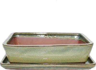 Image de bol bonsaï avec soucoupe taille 4 -  rectangulaire g30 - brun olive - l 25cm - b 19cm - h 6,5cm