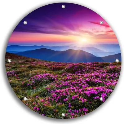 Produktbild von Wallario rundes Outdoor-Poster für Garten oder Balkon, Motiv Blumenbedeckte Wiese bei Sonnenuntergang, 30 cm Durchmesser