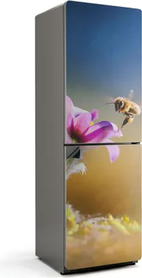 Produktbild von Insekt und Blume im Detail – Magnetische Kühlschrank Abdeckung – Dekorfolie magnetisch Küche – Kühlschrank Magnet Deko – selbstklebende Magnettafel – Magnetfolie für Kühlschranktür – 60x190 cm