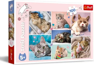 Produktbild von Trefl 16420, 100 Stück(e), Tiere, 5 Jahr(e)