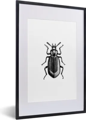 Produktbild von MuchoWow® Gerahmtes Poster Käfer - Tiere - Vintage 40x60 cm - Poster mit Schwarzem Bilderrahmen Wandposter Rahmen Foto Bilder - Poster in Rahmen