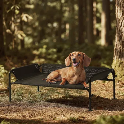 Immagine prodotto di Cuccia per cani rialzata - Impermeabile - Nero, taglia S/M - 88 x 55 x 31 cm - Per esterno