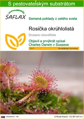 Produktbild von SAFLAX - Rosička okrúhlolistá - Drosera rotundifolia - 50 Semená - S pestovateľským substrátom bez klíčkov