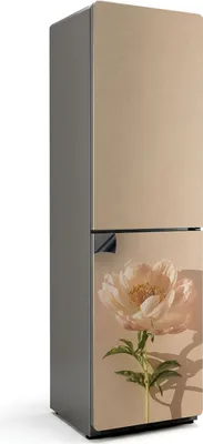 Obrázok produktu pre Jemný kvet v plnom kvete - Magnetický kryt chladničky - Dekoratívna magnetická fólia do kuchyne - Magnetická dekorácia na chladničku - Samolepiaca magnetická tabuľa - Magnetická fólia na dvere chladničky - 60x205 cm