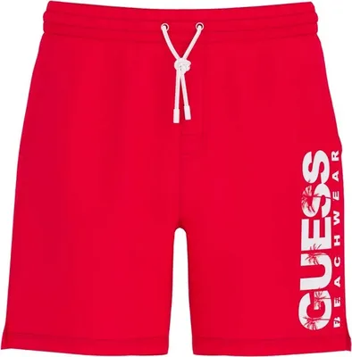 Image de Guess Angels
