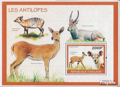 Produktbild von Briefmarken Togo 2010 Mi Block501 (kompl.Ausg.) postfrisch Antilopen