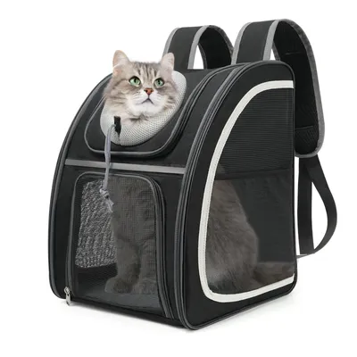 Produktbild von Tiertransporttasche Haustier Rucksack mit Netzfenster, Hunde & Katzenrucksack Faltbar bis 8,00 kg, Wasserdichtes Oxford-Tuch mit Viel Platz