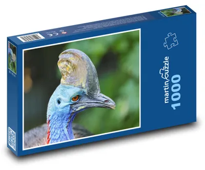 Zdjęcie produktu dla Puzzle 1000 Kazuar hełmiasty - egzotyczny ptak - martinpuzzle