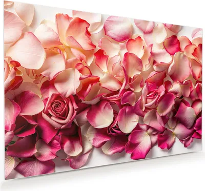 Produktbild von Glasbild 75x50cm in XXL für Wohnzimmer, Schlafzimmer Motiv Rosenblätterbuntes Spiel