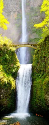 Produktbild von Wallario Wandbild aus Acryl, 125 x 50 cm, freischwebende Optik - Brücke über dem Wasserfall