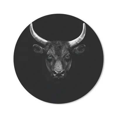 Produktbild von MuchoWow® Mauspad Mousepad Tiere - Stier - Schwarz - Weiß - Porträt 40x40 cm - Mousepads - Maus Mat - Pad - Mausunterlage - Schreibtisch Accessoires