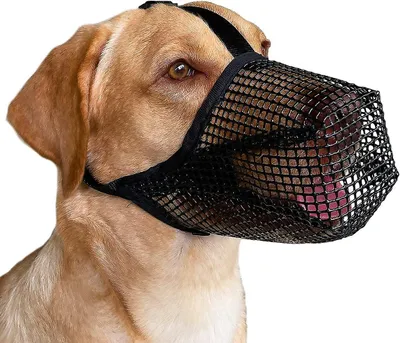 Produktbild von Hundemaulkorb mit verstellbaren Riemen, weicher, mit Mesh überzogener Maulkorb für kleine, mittelgroße Hunde – Schwarz XL