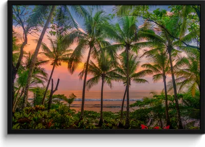 Produktbild von MuchoWow® MuchoWow® Gerahmtes Poster Palme - Tropisch - Meer 90x60 cm - Poster mit zchwarzem Bilderrahmen - Fotorahmen - Foto-Plakat