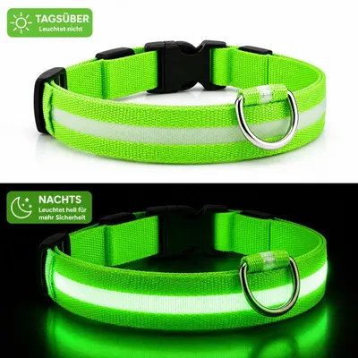 Produktbild von LED Hundehalsband USB aufladbar reflektierend Leuchthalsband verstellbar S–XL für Hunde Nacht Sicherheit inkl. Ladekabel Gr. L (41 - 52cm) - GRÜN