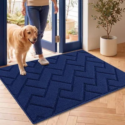 Immagine prodotto di Tappetino per interni ed esterni, lavabile, antiscivolo, ideale per raccogliere lo sporco, colore blu, dimensioni 60x90 cm