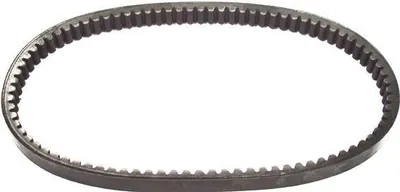 Obrázok produktu pre MALOSSI klinový remeň "Reinforced" Polyamid 22 x 830 mm
