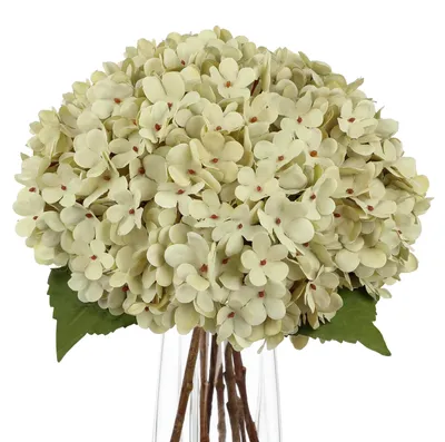 Kunsthortensie 35 cm cremeweiß – Blumenstrauß für Vase