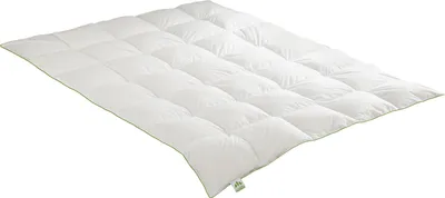 Produktbild von Daunensteppbett Irisette Greenline medium  Größe 200 x 200 cm