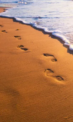 Produktbild von Fototapete - Footsteps 150x250cm - Vliestapete
