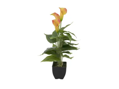 Produktbild von EUROPALMS Calla mini, Kunstpflanze, gelb orange, 43cm